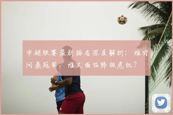 中超联赛最新排名深度解析：谁将问鼎冠军，谁又面临降级危机？